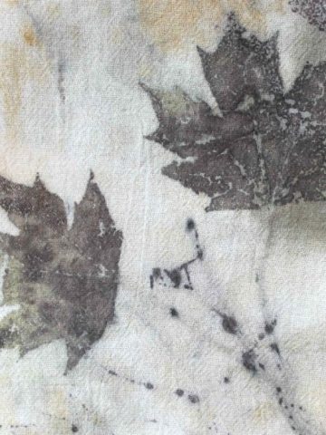 Maple Leaves Eco Printed on Cotton Flour Sack Towels